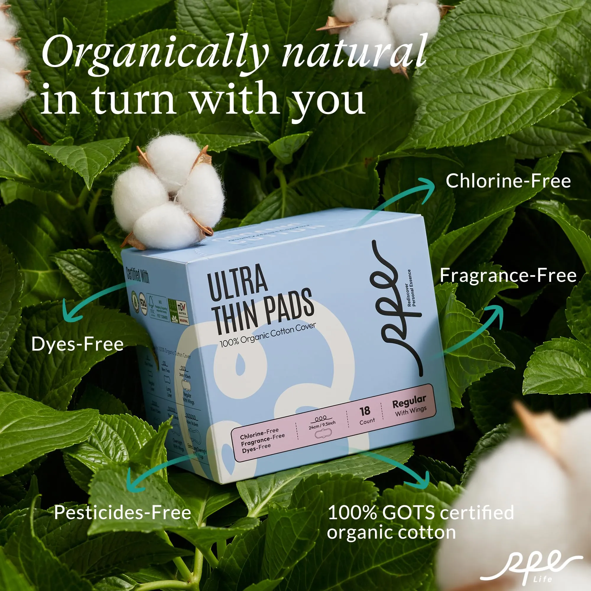 100% Organic Pads for Women, Ultra Thin Feminine Pads with Wings, Unscented Period Pads, Regular Absorbency Sanitary Pads, Organic Cotton Pads Menstrual (Regular, Size 3, 54 Count)