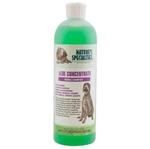 Aloe Concentrate Shampoo 16oz