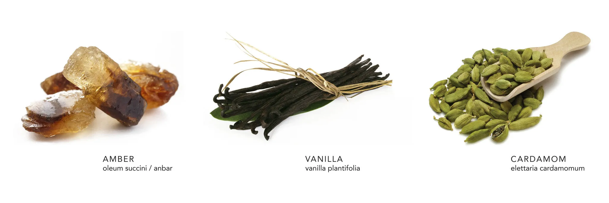 Amber Vanilla Hand & Body Cream
