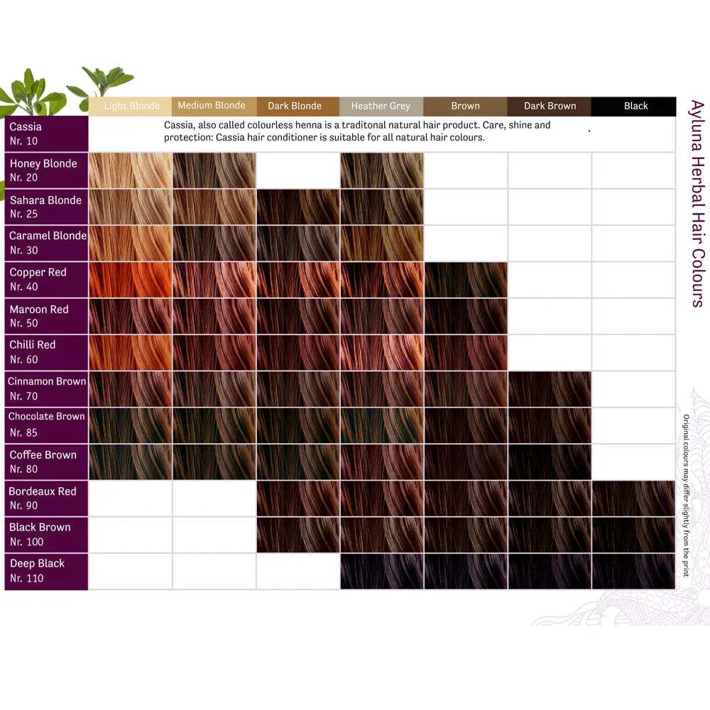 Ayluna Plant Based Hair Dye 100 Black Brown 100g