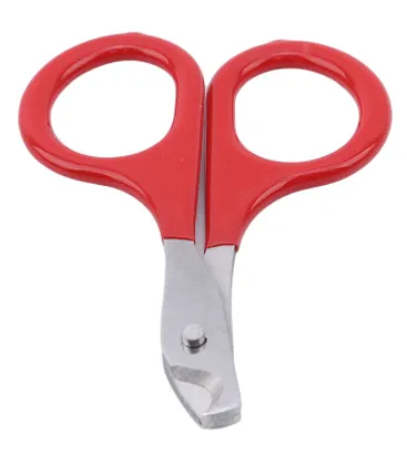 Basic Small Nail Scissor