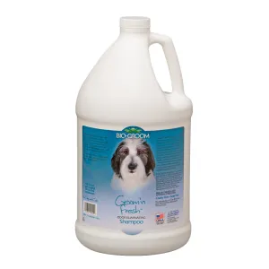 Bio-Groom Groom N Fresh Shampoo 3.8 L