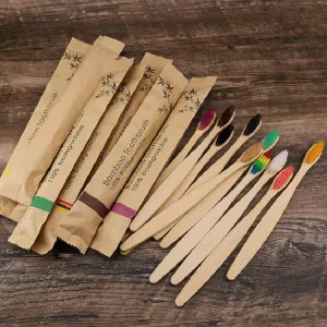 Biodegradable Bamboo Disposable Toothbrush with Soft Bristle for Travel (Set of 10)