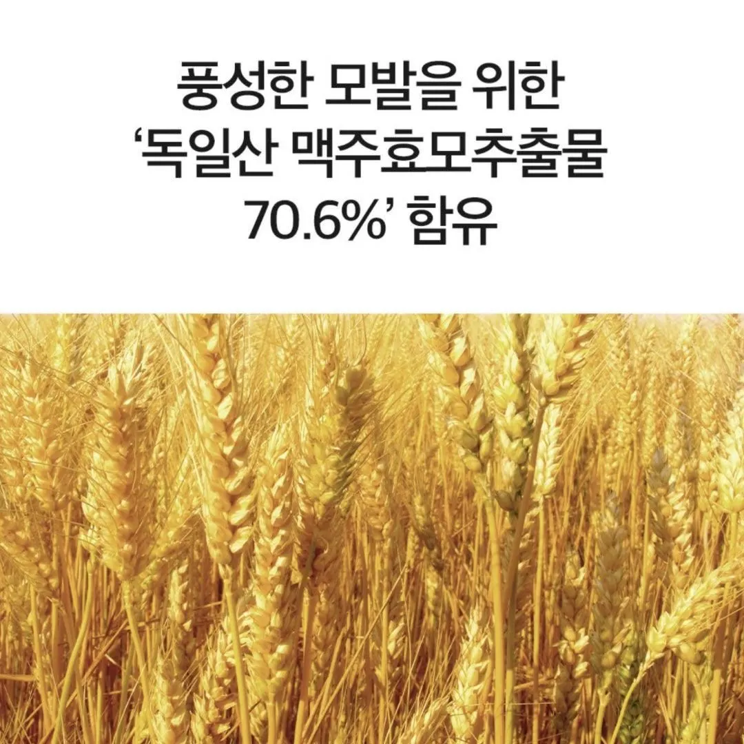 DERMA FACTORY Anti Hair Loss Repair Treatment 150g*2pcs Brewer's Yeast Protein Supply Caffeine Argan Kernel Oil Natural Active Ingredients Scalp Hair Care