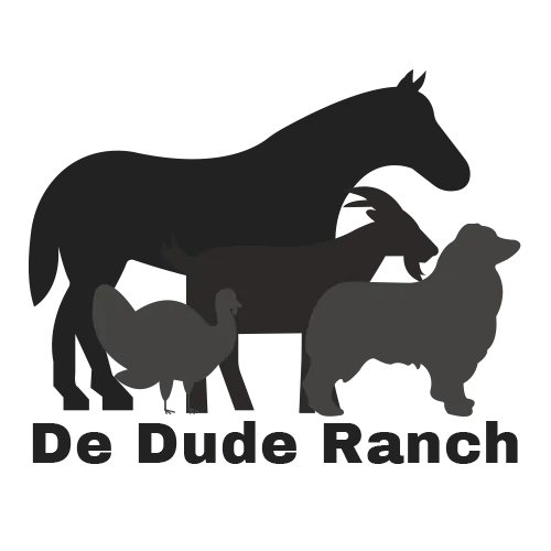 Dude Ranch Soaps Gift Card