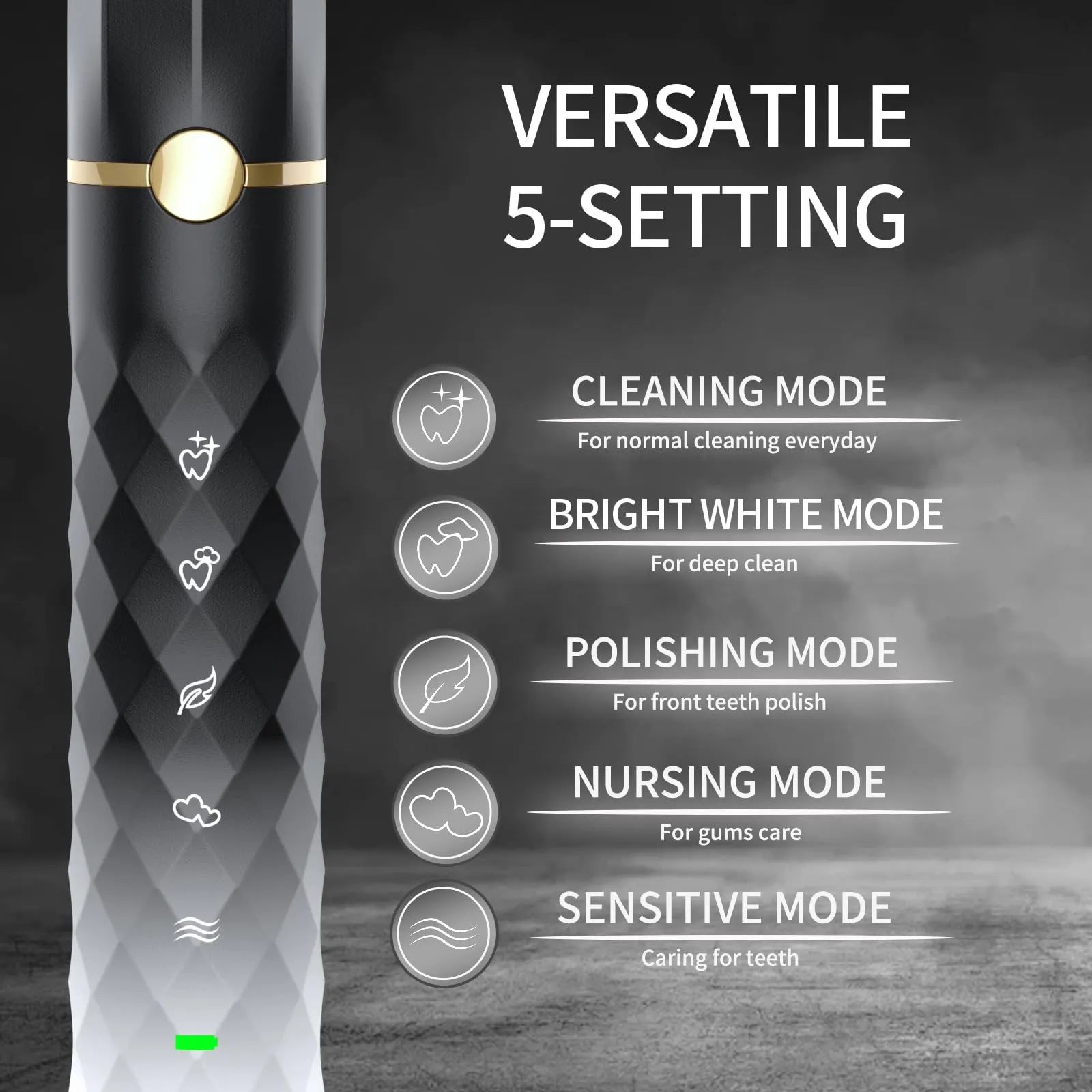 Electric Toothbrush Set with 10 Brush Heads