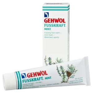 GEHWOL FUSSKRAFT MINT