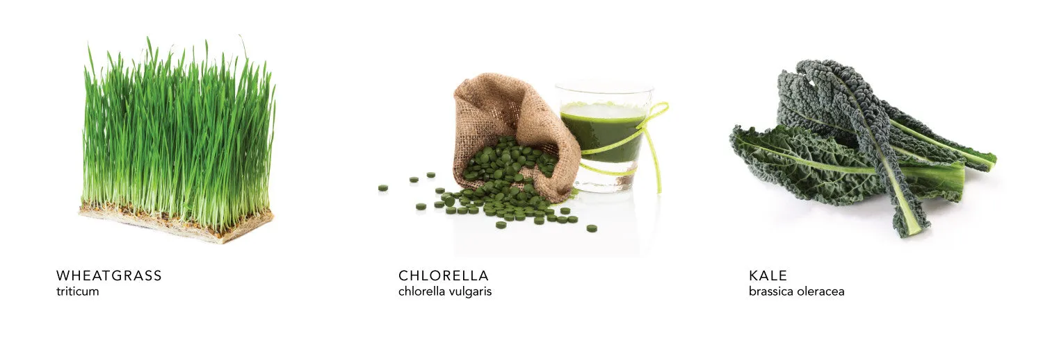 Green Detox Sea Salt Body Scrub