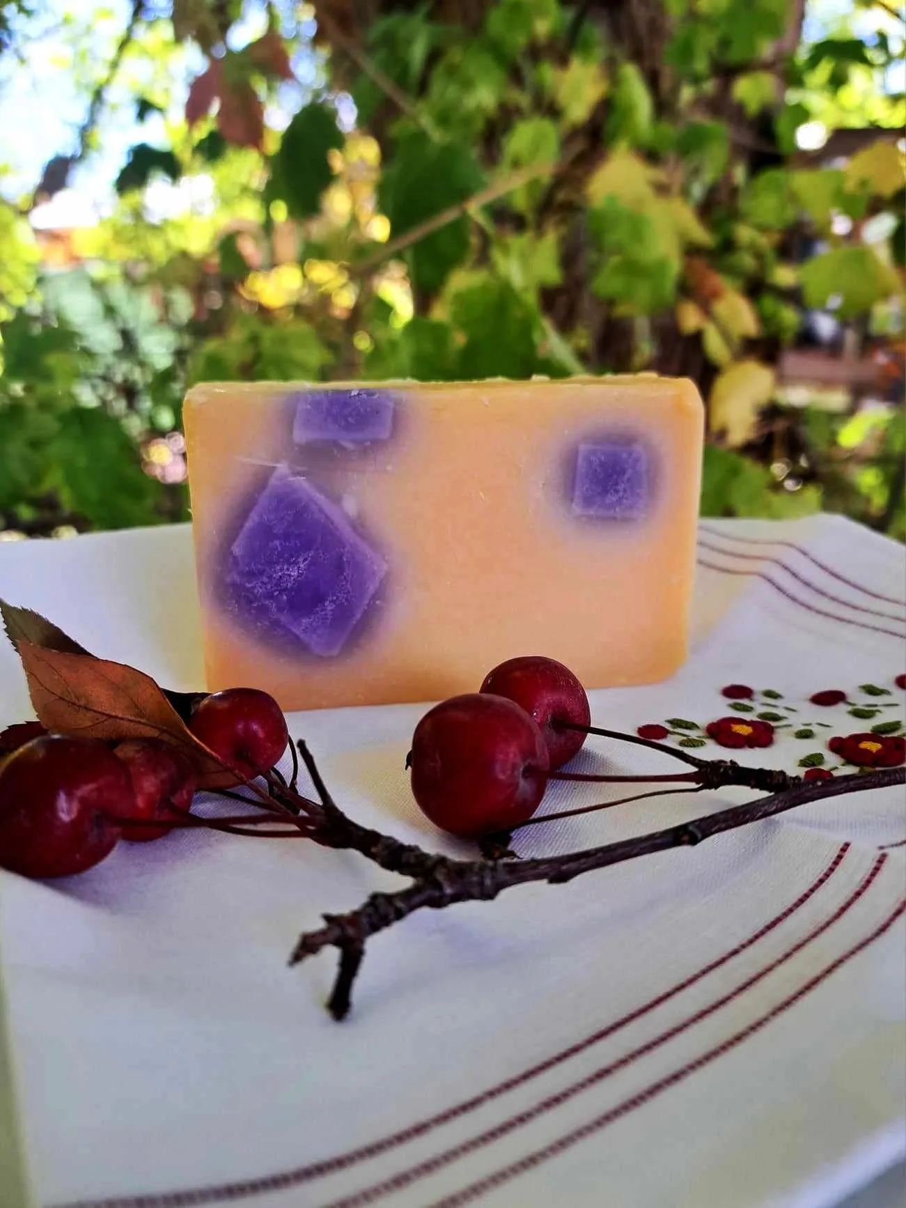 Handmade Black Raspberry Vanilla Bar Of Soap