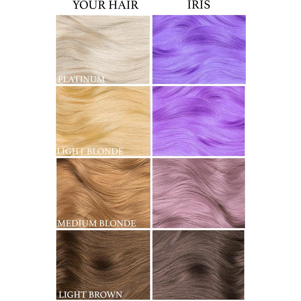 Iris Purple Semi Permanent Hair Dye 4 Oz.
