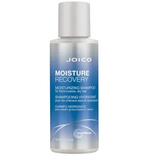 Joico Moisture Recovery Shampoo
