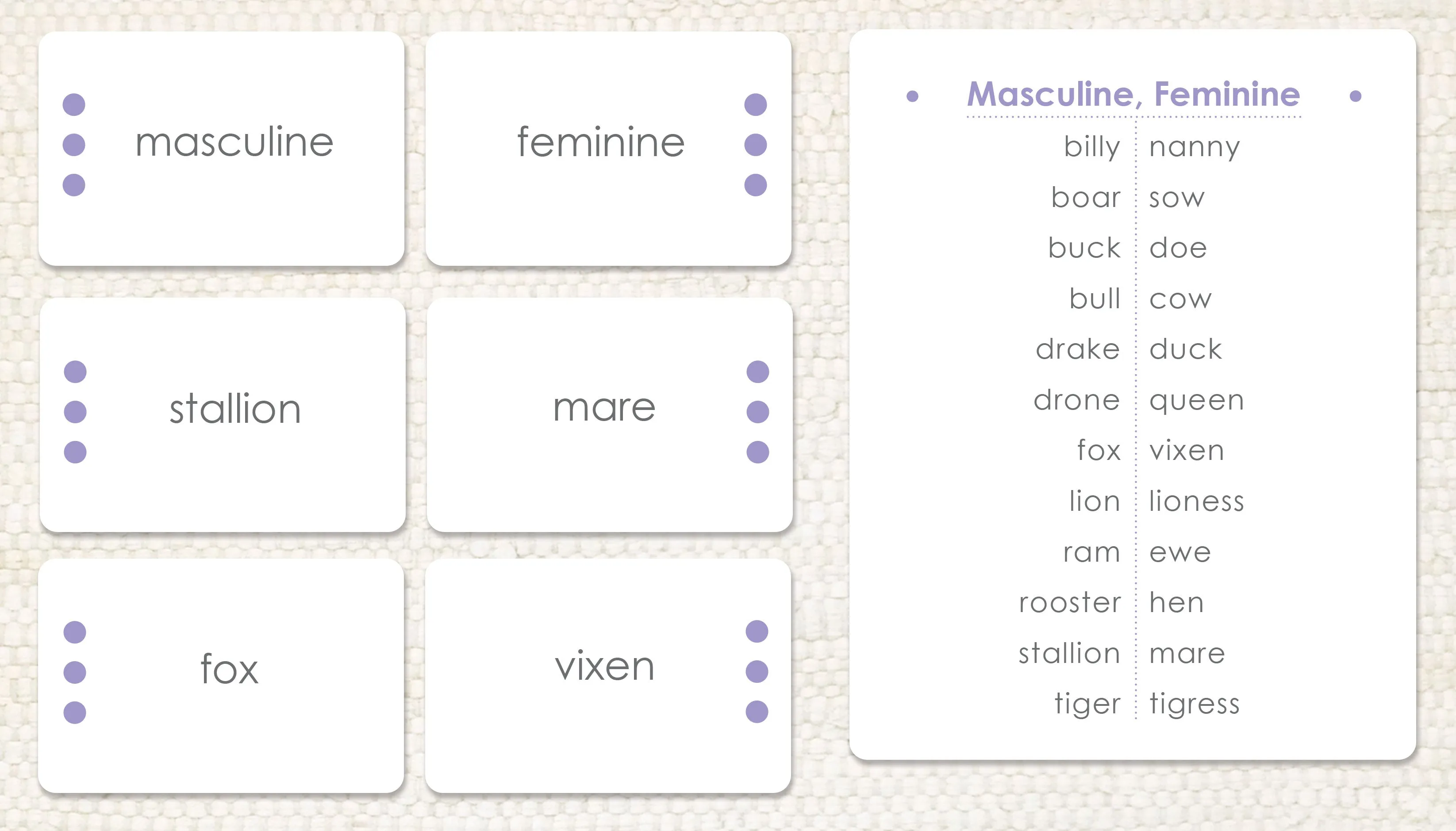 Masculine & Feminine