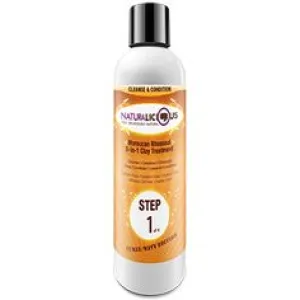 Naturalicious Moroccan Rhassoul 5-in-1 Clay Treatment (Step 1) Curly/Wavy Edition