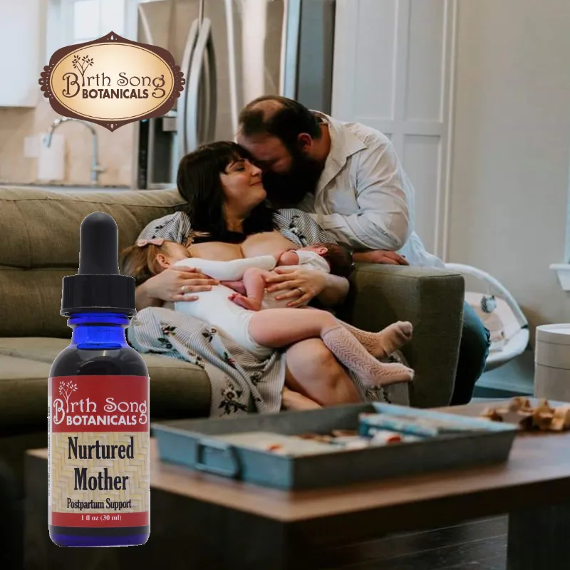 Nurtured Mother Postpartum Support Supplement for Comfort and Mood Support* with Cramp Bark, 1oz.