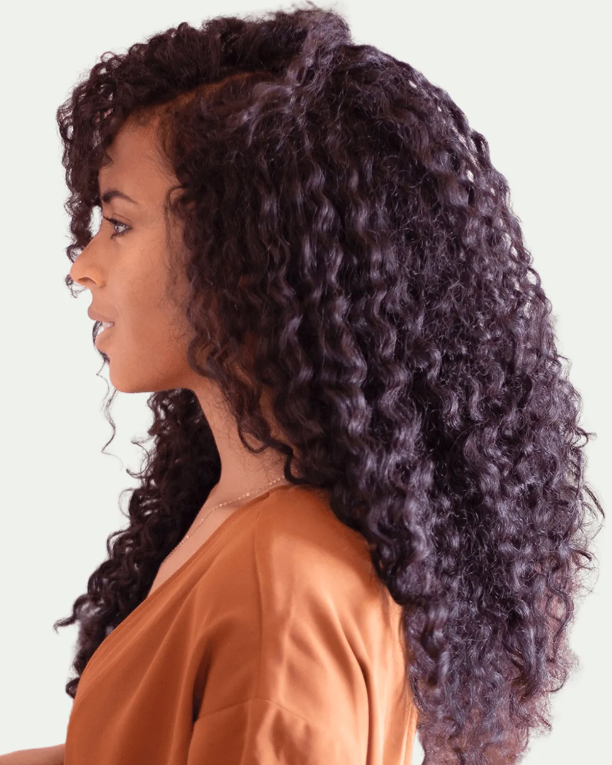 Organic Rajasthani Indian Henna Hair Dye