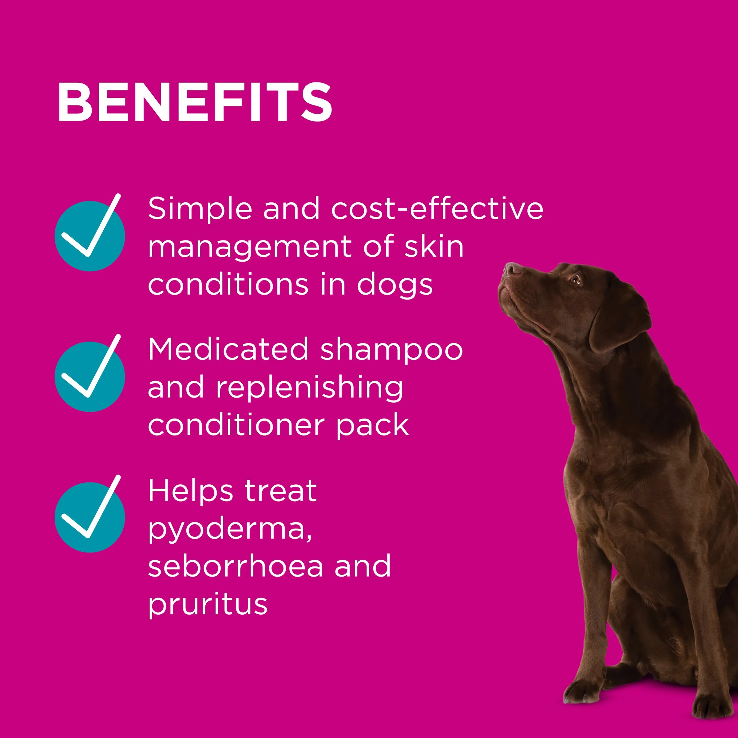PAW - Medi-NutriDerm Infected Skin Duo Pack for Dogs and Cats (2x200ml)