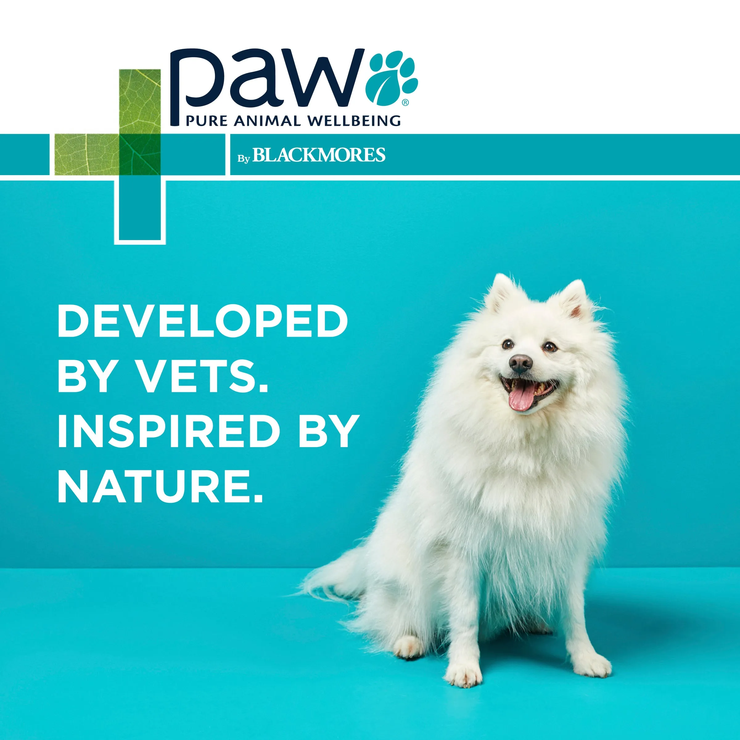 PAW - Medi-NutriDerm Infected Skin Duo Pack for Dogs and Cats (2x200ml)