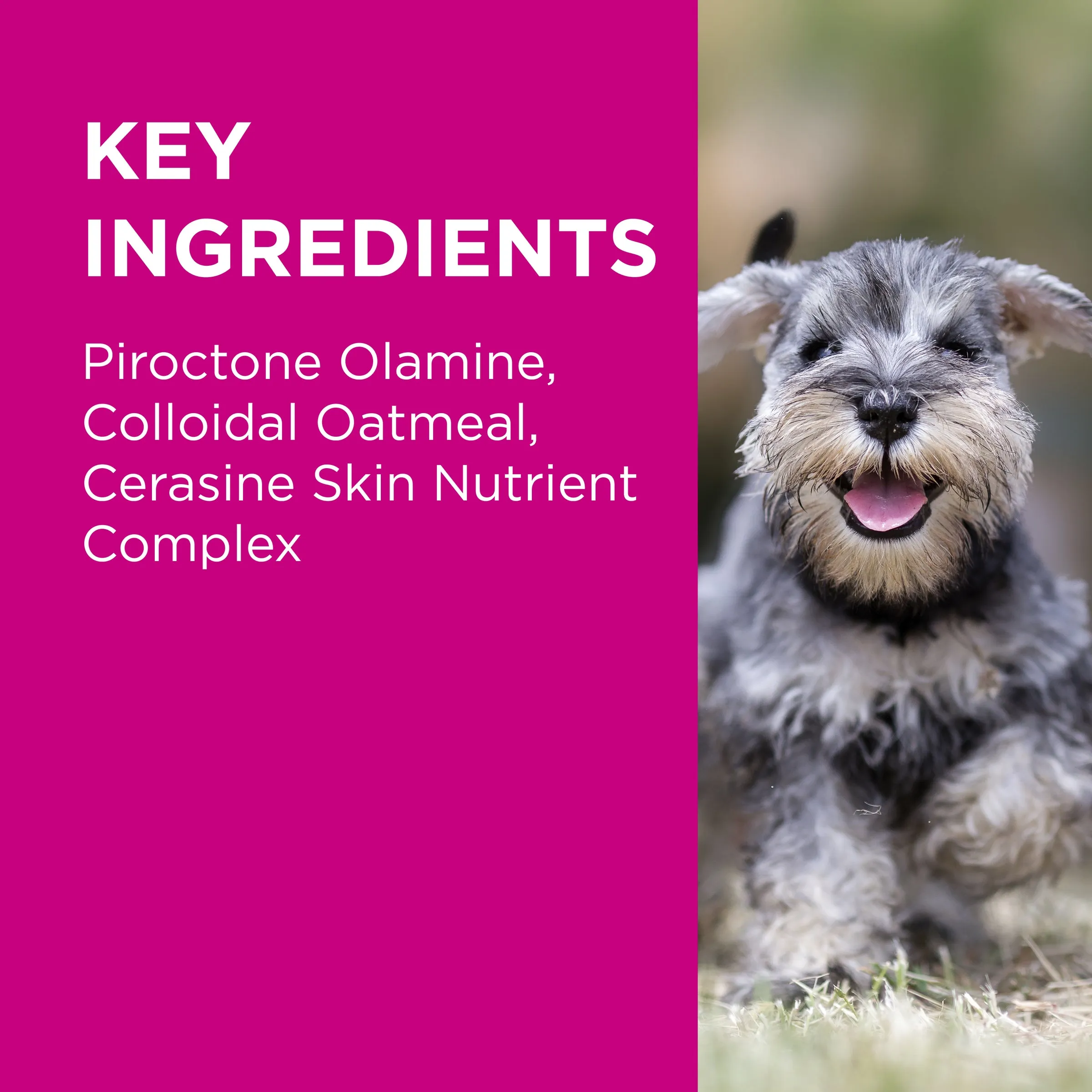 PAW - Medi-NutriDerm Infected Skin Duo Pack for Dogs and Cats (2x200ml)