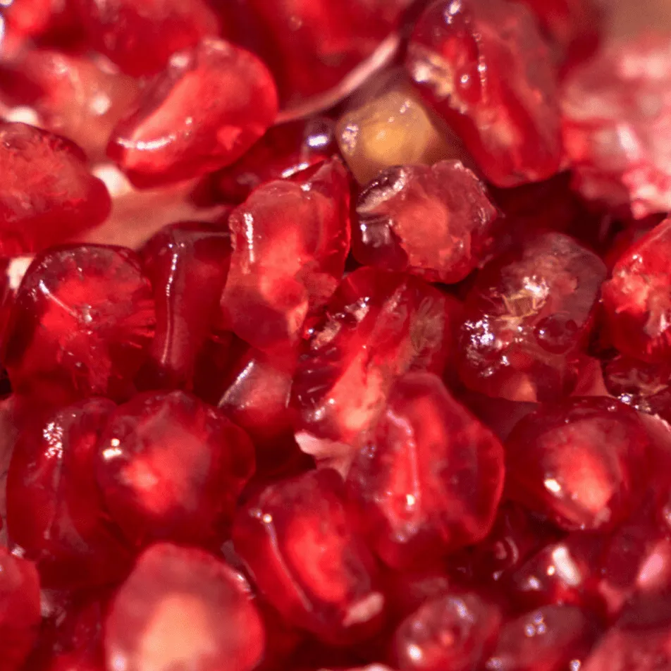 Pomegranate Biome Scalp Boosting Shampoo   Soy Biome Protein Repair Treatment