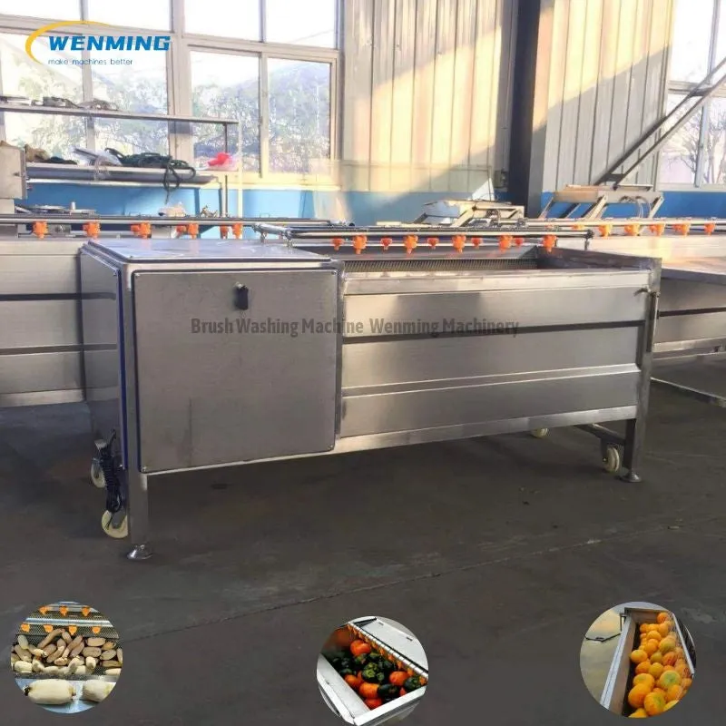 Potato Peeling Machine Brush Washing Peeling Machine