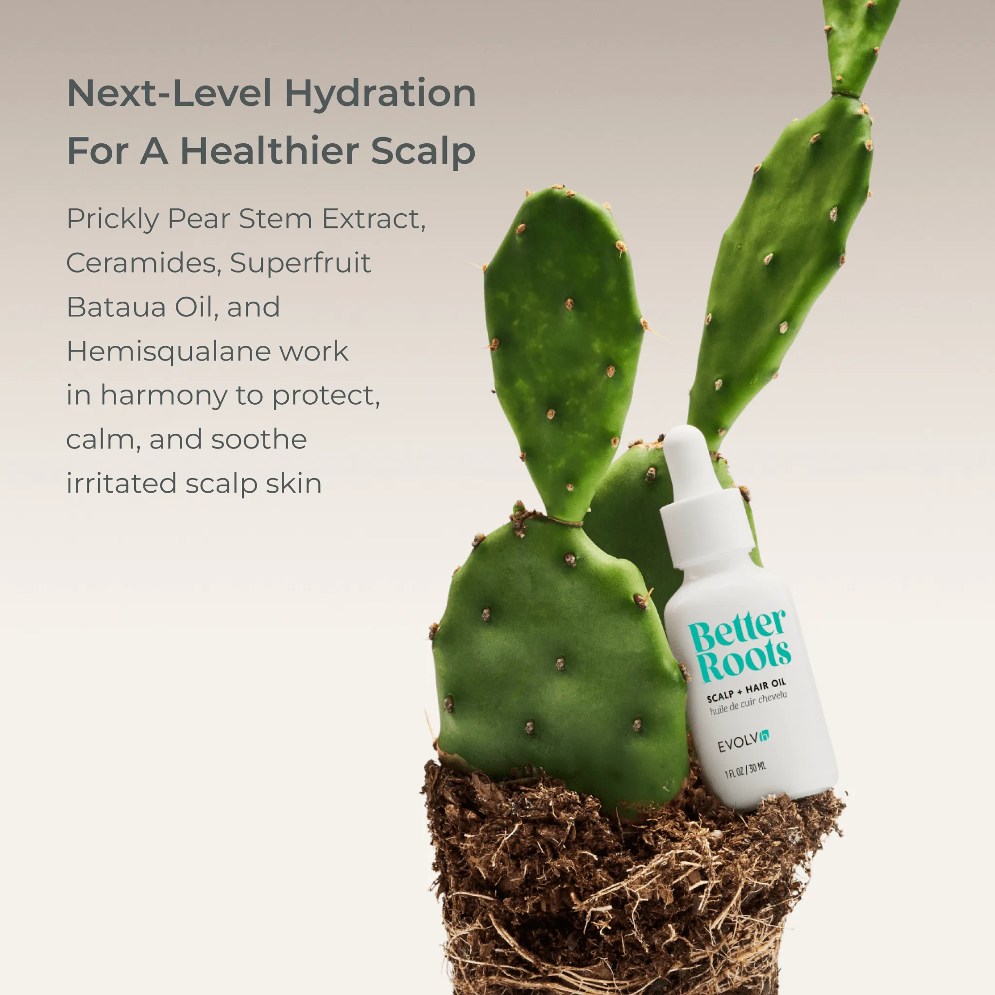 Pre-Order & Save: Better Roots Scalp   Hair Oil