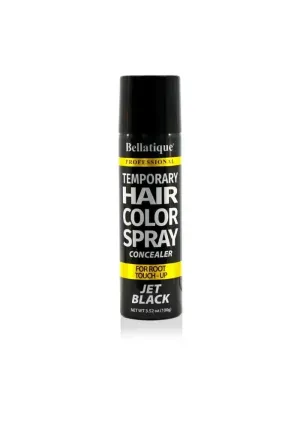 Professional Temporary Hair Color Spray
