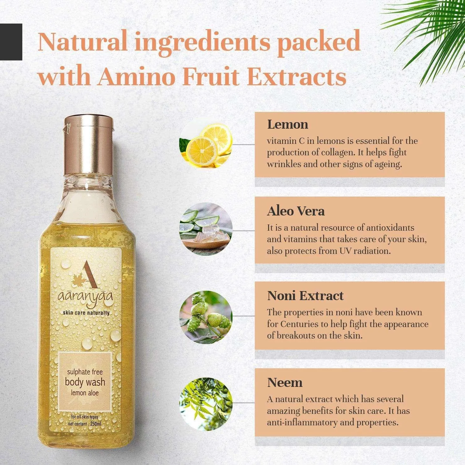 Sulphate Free Body Wash Lemon Aloe