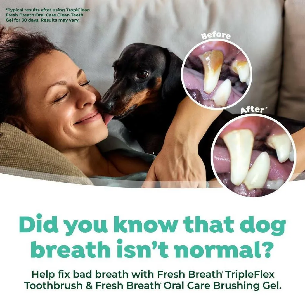 Tropiclean Fresh Breath Toothbrush For Small Dogs
