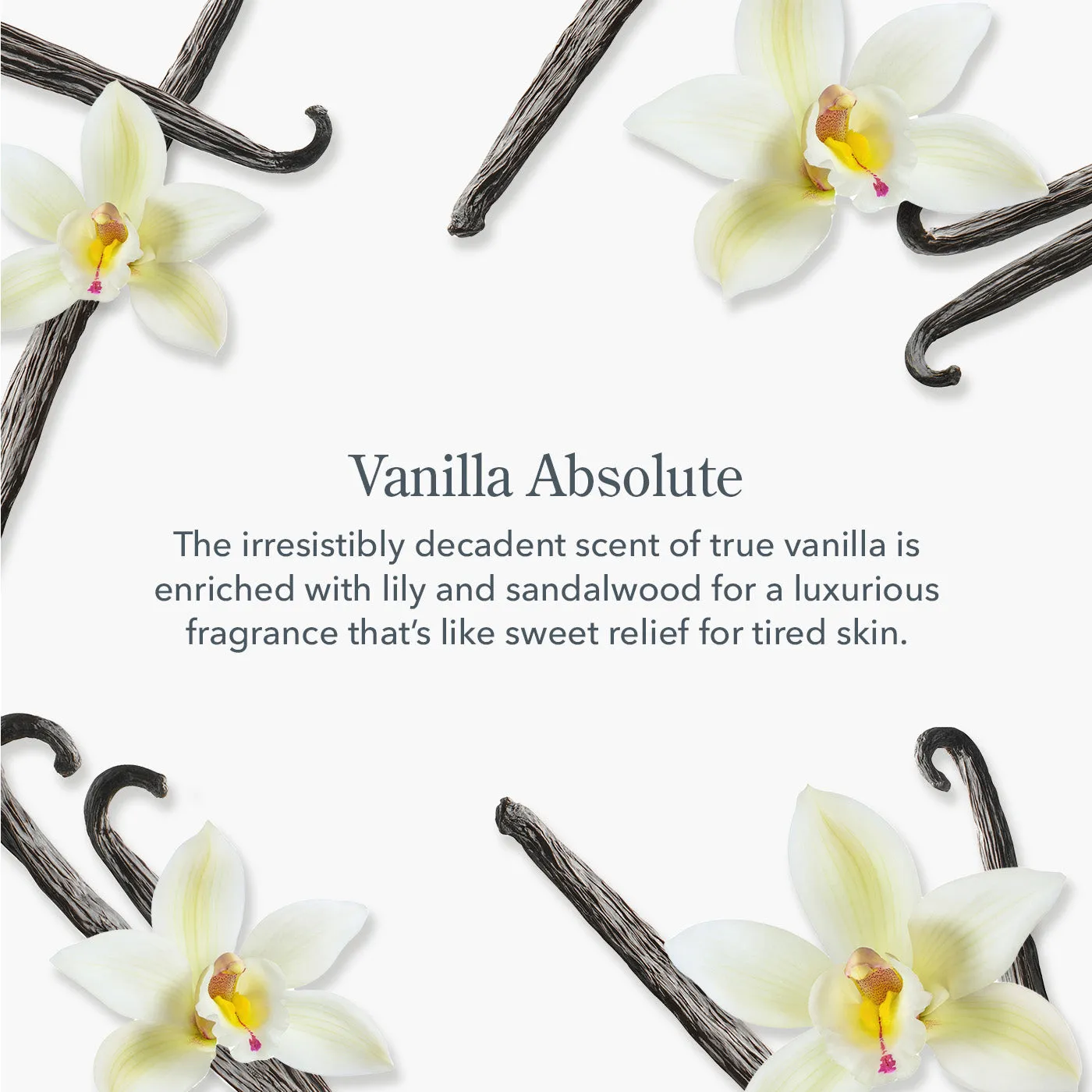 Vanilla Absolute 2oz Hand Cream - Skin Care Sale