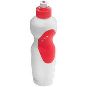 Water Bottle (700ml)